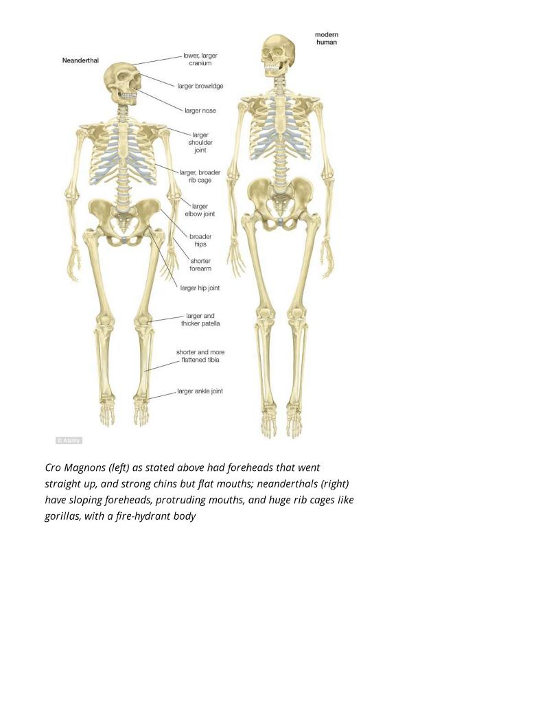 jews and semites neanderthal proof 017